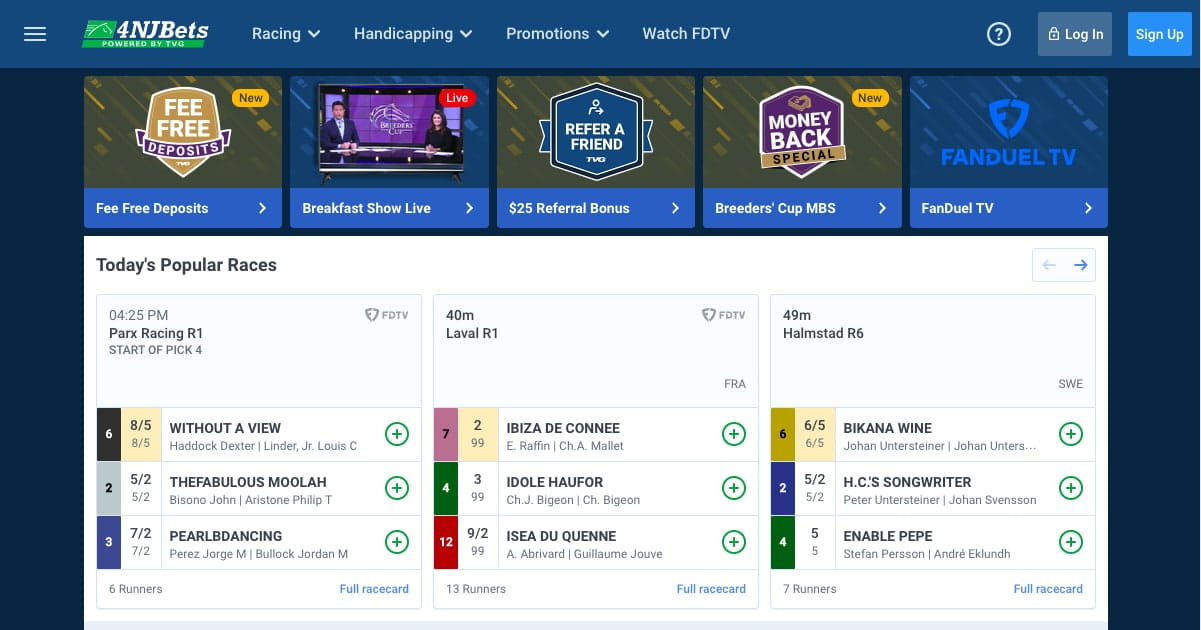 FanDuel racebook NY