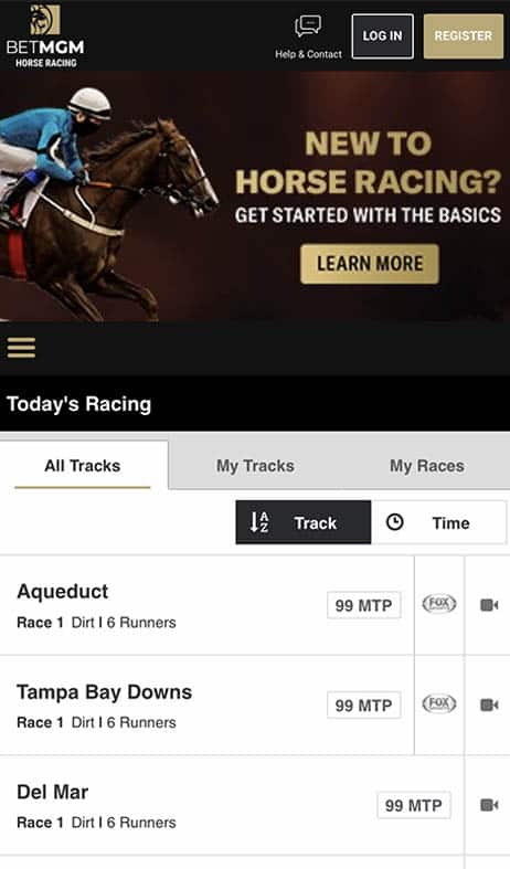Create Horse Betting App Step 1